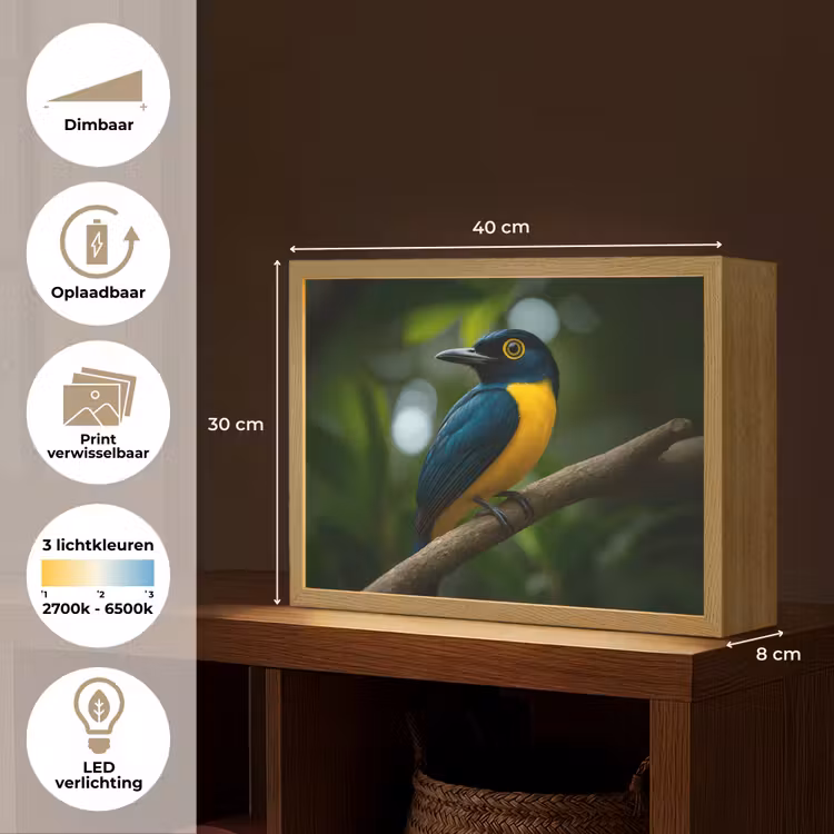 Lightbox - Wandlamp - Vogel - Tak - Geel - Bladeren — 10