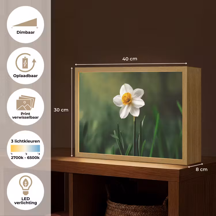 Lightbox - Wandlamp - Narcis - Bloem - Wit - Grassprieten — 10