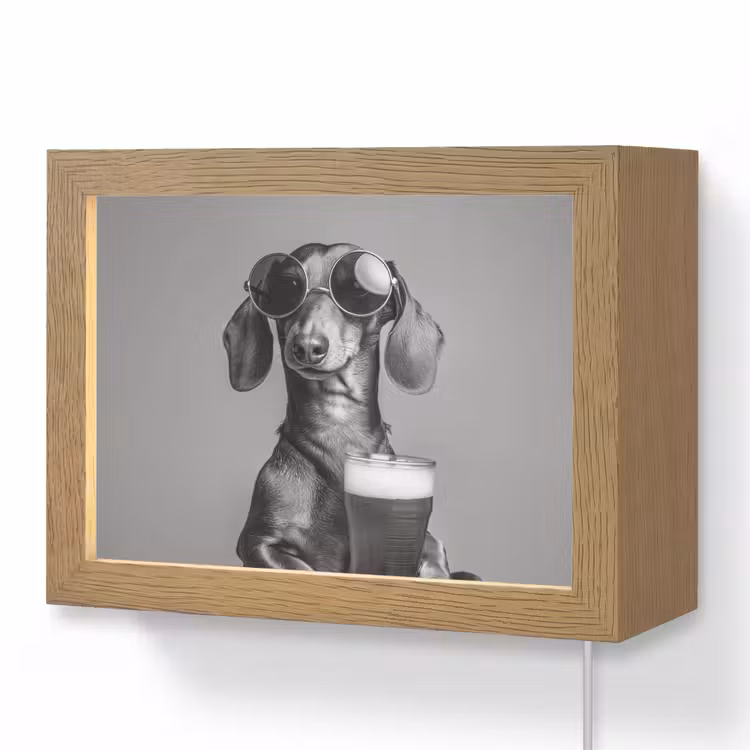 Lightbox - Wandlamp - Teckel - Bier - Glas - Bril — 1