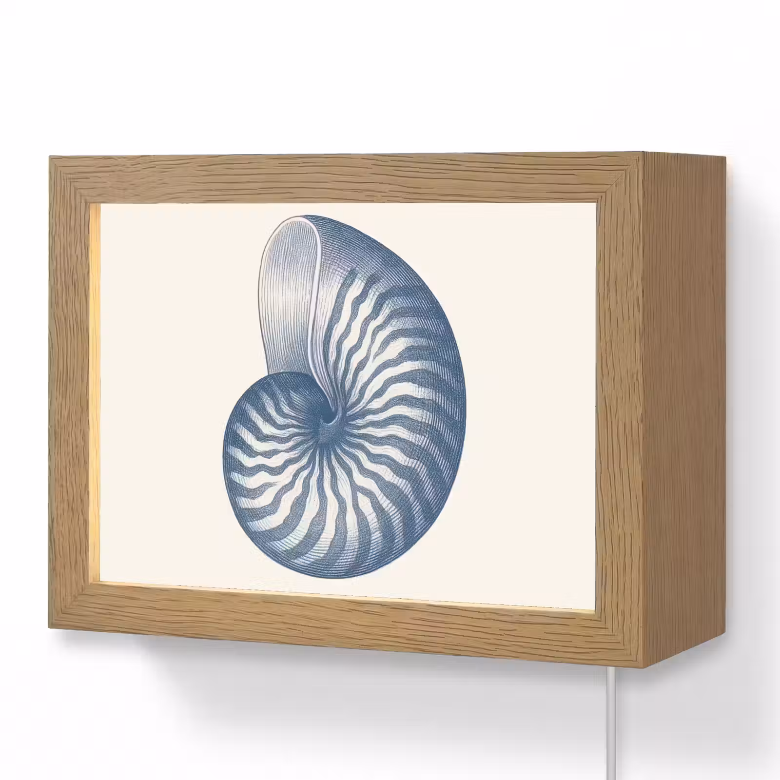Lightbox - Wandlamp - Blauw - Schelp - Spiraal — 1