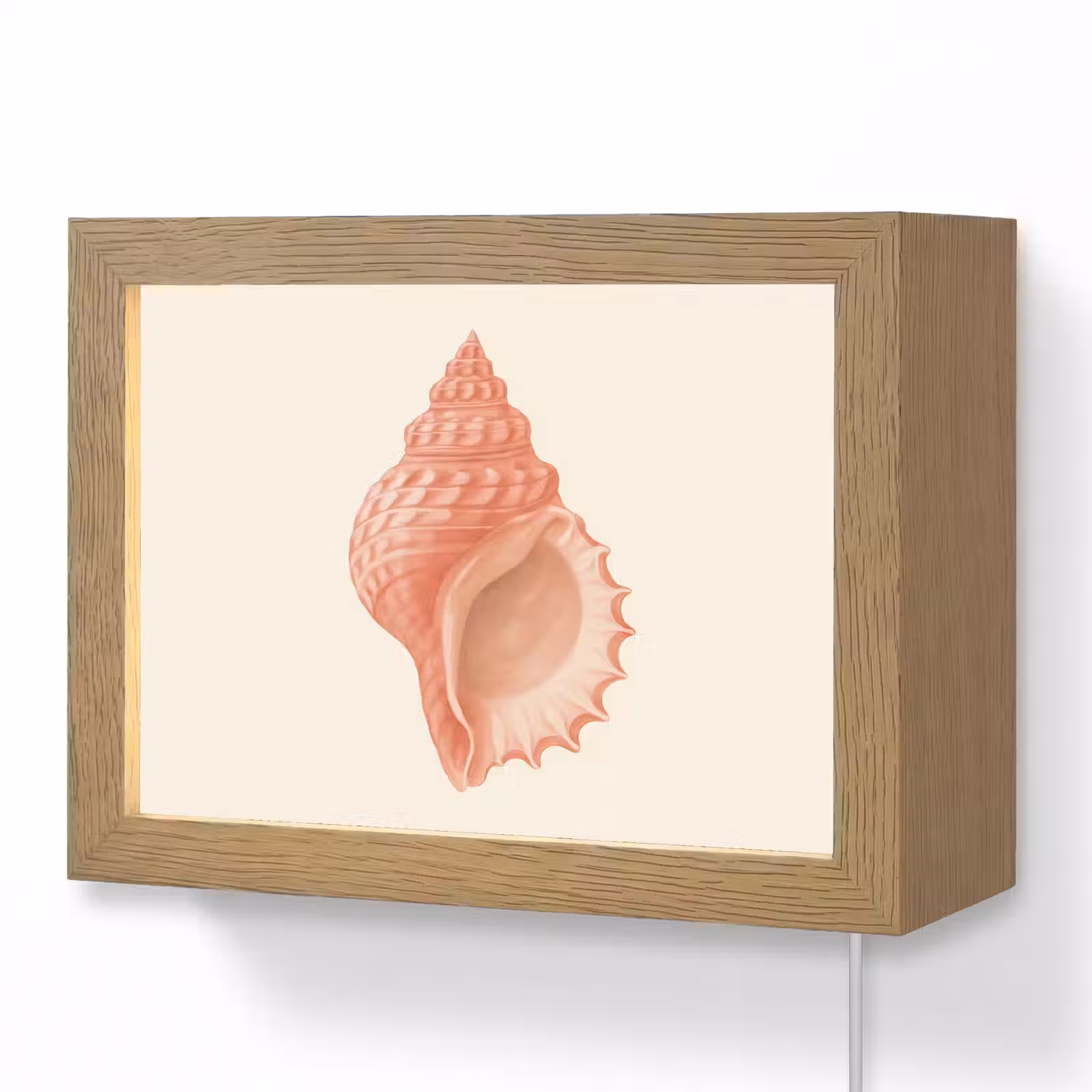 Lightbox - Wandlamp - Schelp - Roze - Structuur — 1