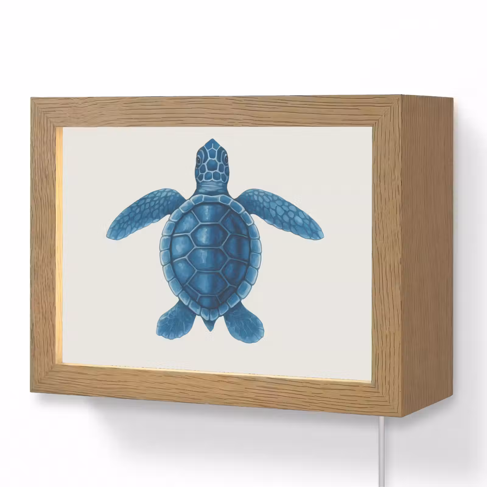 Lightbox - Wandlamp - Schildpad - Blauw - Schild — 1
