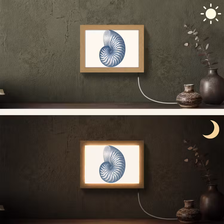 Lightbox - Wandlamp - Blauw - Schelp - Spiraal — 3