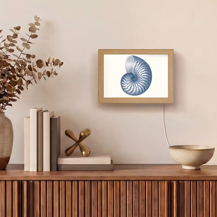 Lightbox - Wandlamp - Blauw - Schelp - Spiraal — 4