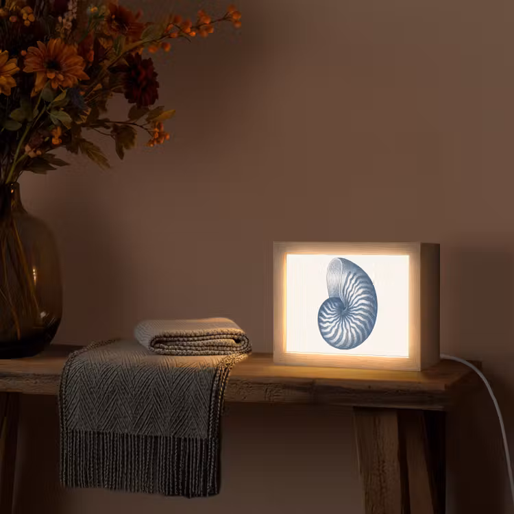 Lightbox - Wandlamp - Blauw - Schelp - Spiraal — 5