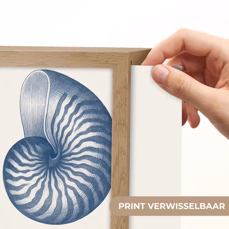 Lightbox - Wandlamp - Blauw - Schelp - Spiraal — 6