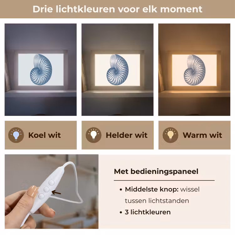 Lightbox - Wandlamp - Blauw - Schelp - Spiraal — 7