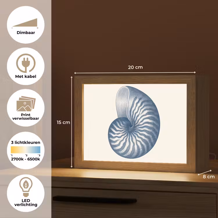 Lightbox - Wandlamp - Blauw - Schelp - Spiraal — 9