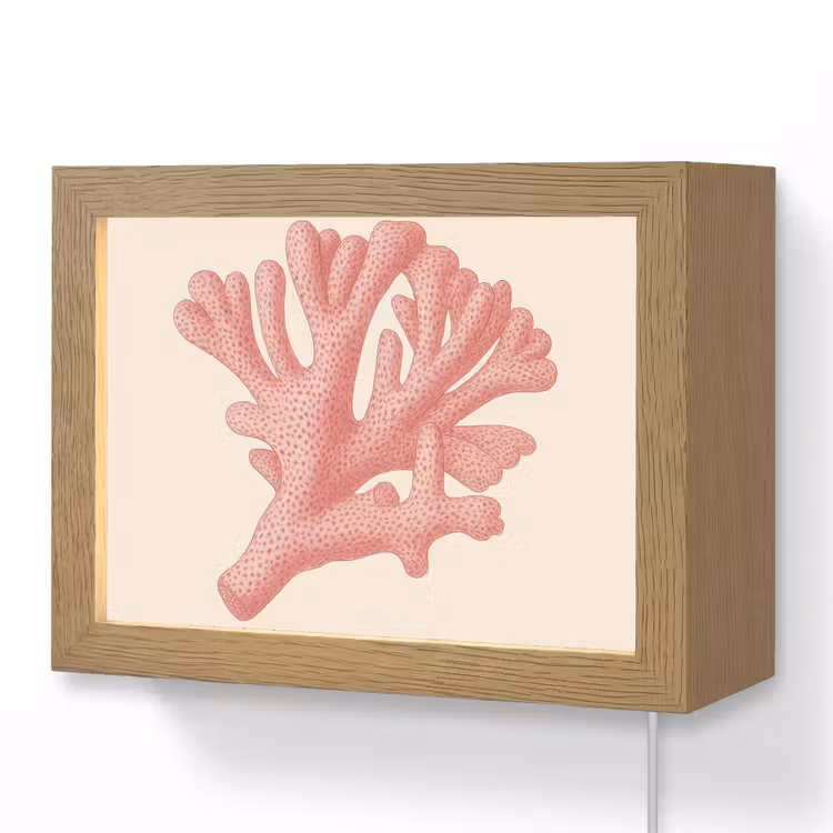 Lightbox - Wandlamp - Koraal - Stipjes - Roze — 1