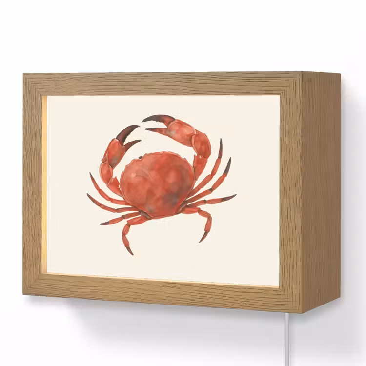 Lightbox - Wandlamp - Krab - Felrood - Poten — 1