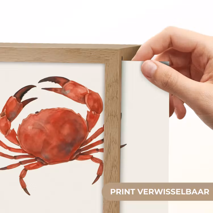 Lightbox - Wandlamp - Krab - Felrood - Poten — 6