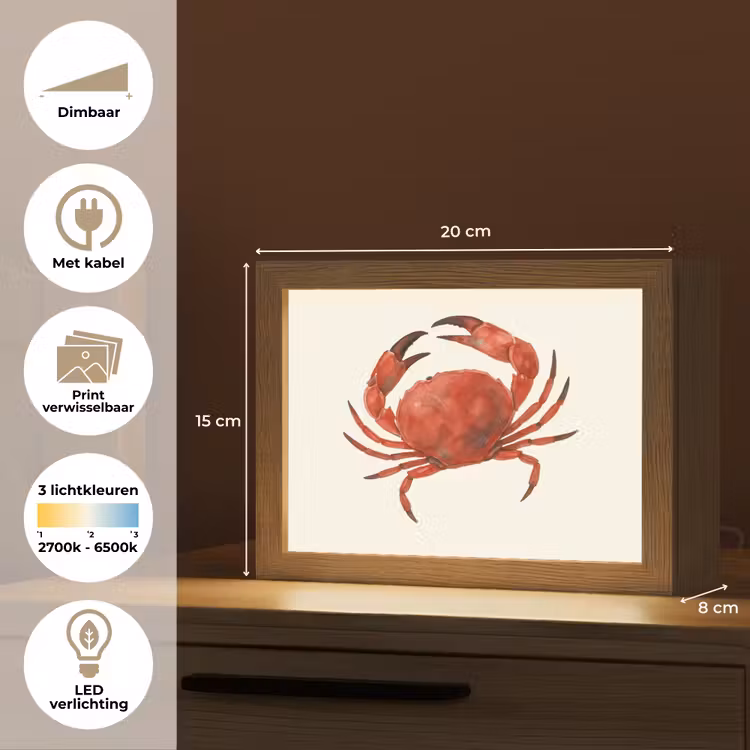 Lightbox - Wandlamp - Krab - Felrood - Poten — 9