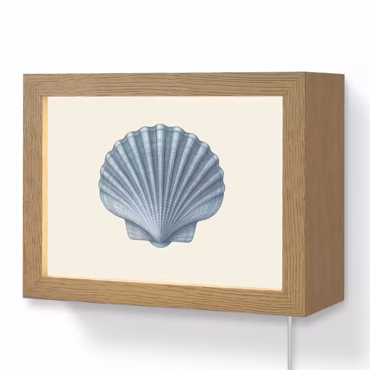 Lightbox - Wandlamp - Ribbels - Blauw - Schelp — 1