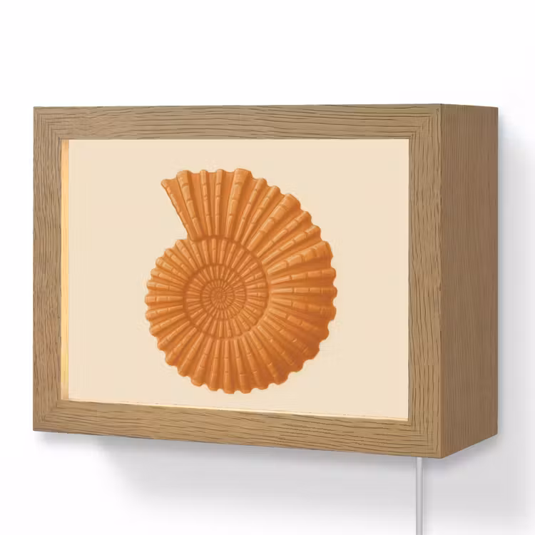Lightbox - Wandlamp - Schelp - Oranje - Ribbels — 1
