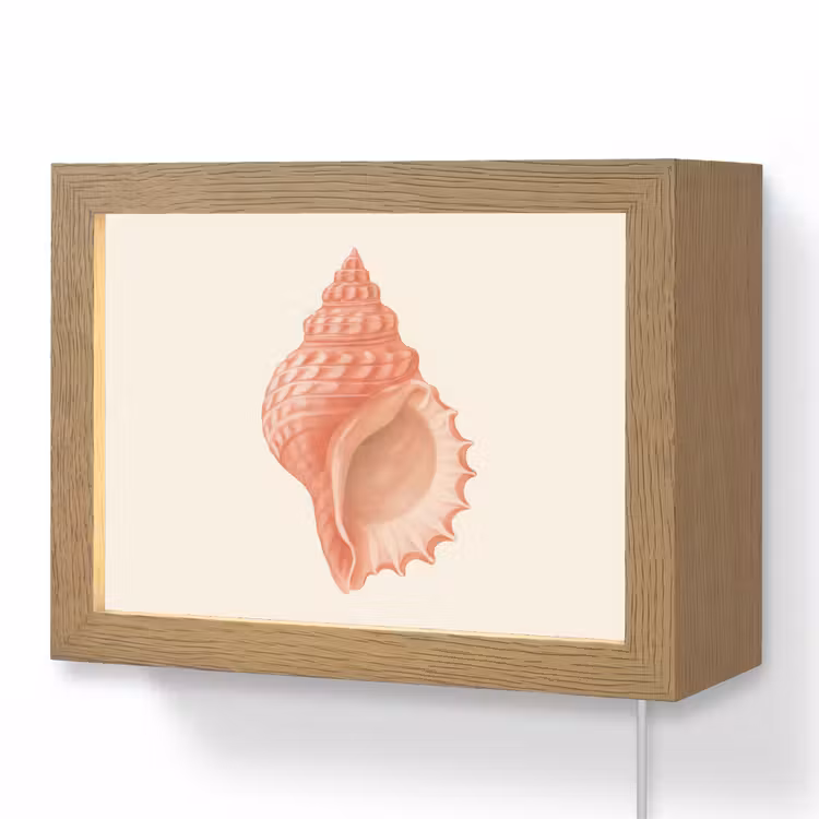 Lightbox - Wandlamp - Schelp - Roze - Structuur — 1