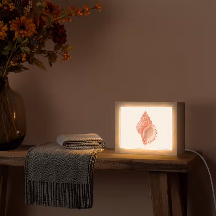 Lightbox - Wandlamp - Schelp - Roze - Structuur — 5