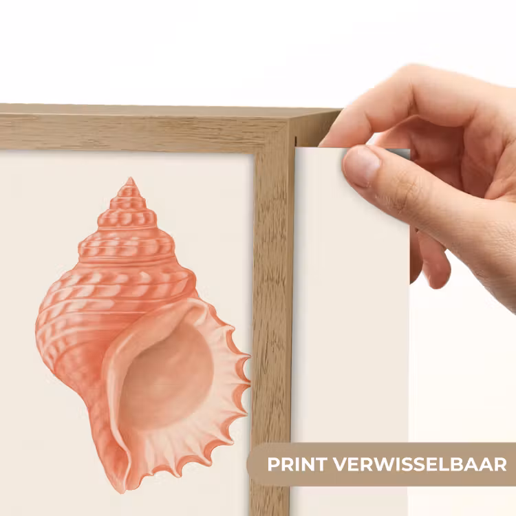 Lightbox - Wandlamp - Schelp - Roze - Structuur — 6