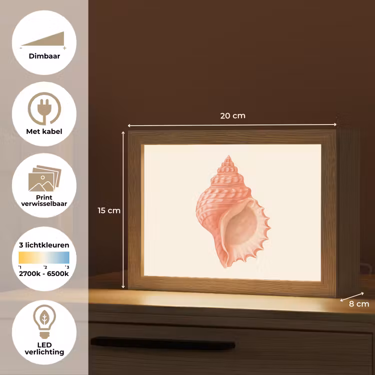 Lightbox - Wandlamp - Schelp - Roze - Structuur — 9