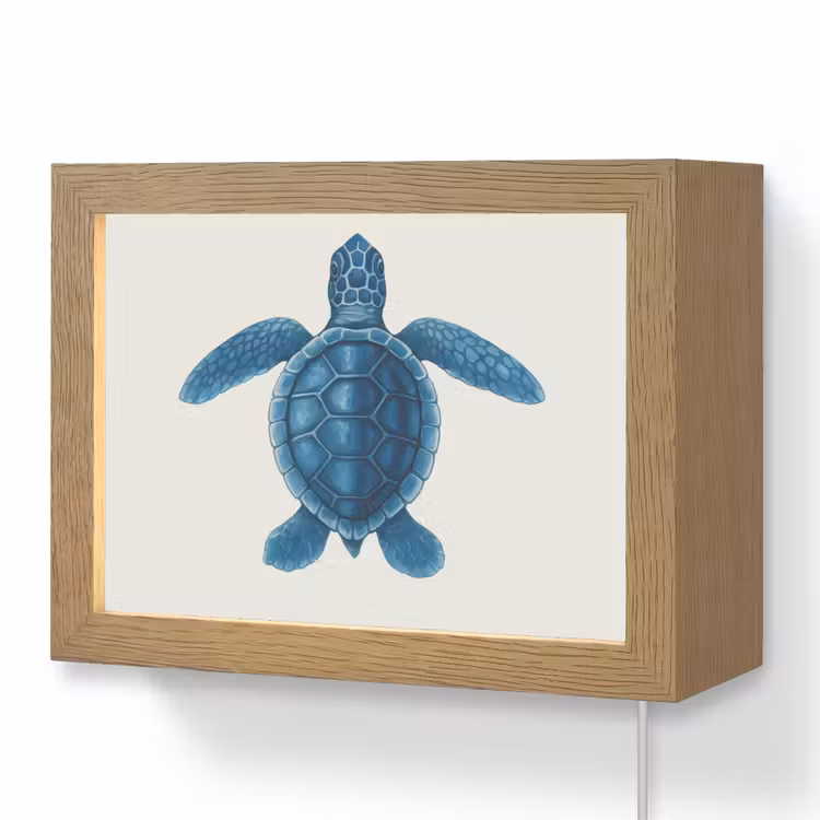 Lightbox - Wandlamp - Schildpad - Blauw - Schild — 1