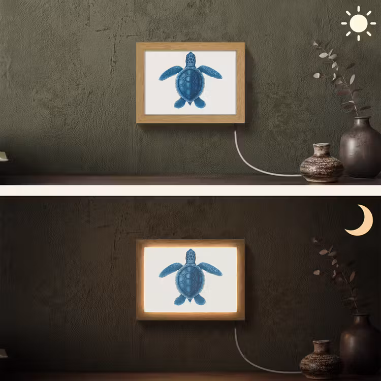 Lightbox - Wandlamp - Schildpad - Blauw - Schild — 3