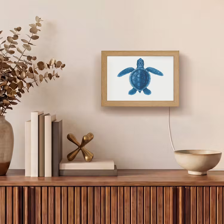 Lightbox - Wandlamp - Schildpad - Blauw - Schild — 4