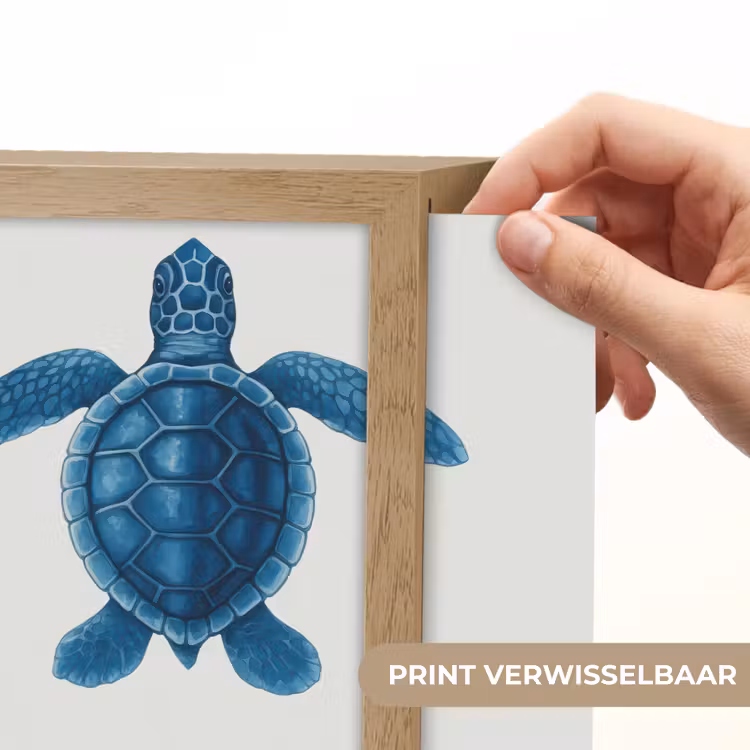 Lightbox - Wandlamp - Schildpad - Blauw - Schild — 6