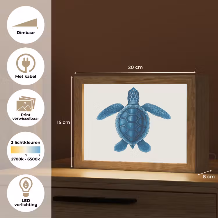 Lightbox - Wandlamp - Schildpad - Blauw - Schild — 9