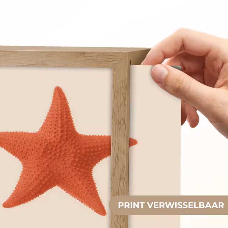Lightbox - Wandlamp - Zeester - Bobbels - Rood — 6