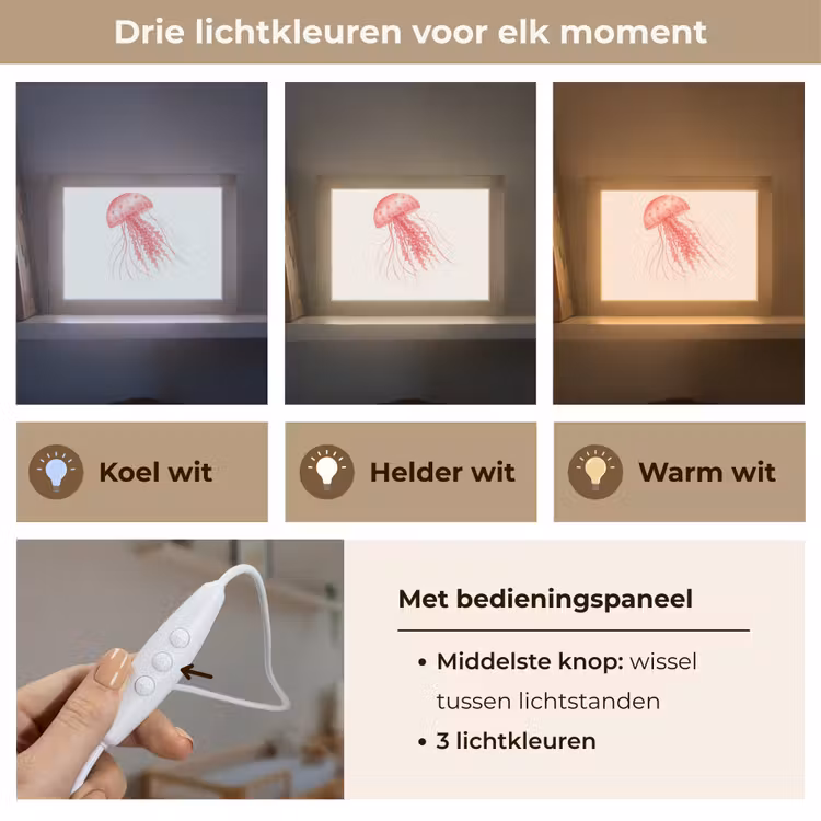 Lightbox - Wandlamp - Kwal - Tentakels - Roze — 7
