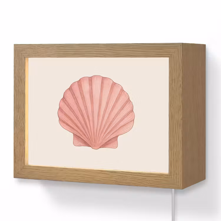Lightbox - Wandlamp - Schelp - Roze - Ribbels — 1