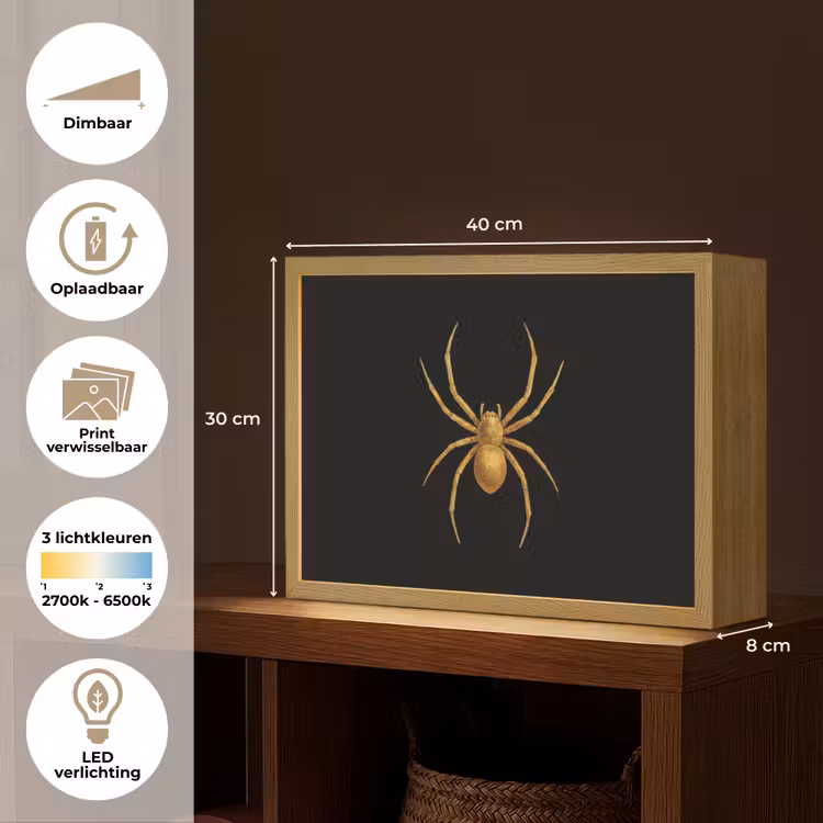 Lightbox - Wandlamp - Spin - Goud - Minimalistisch - Poten — 10