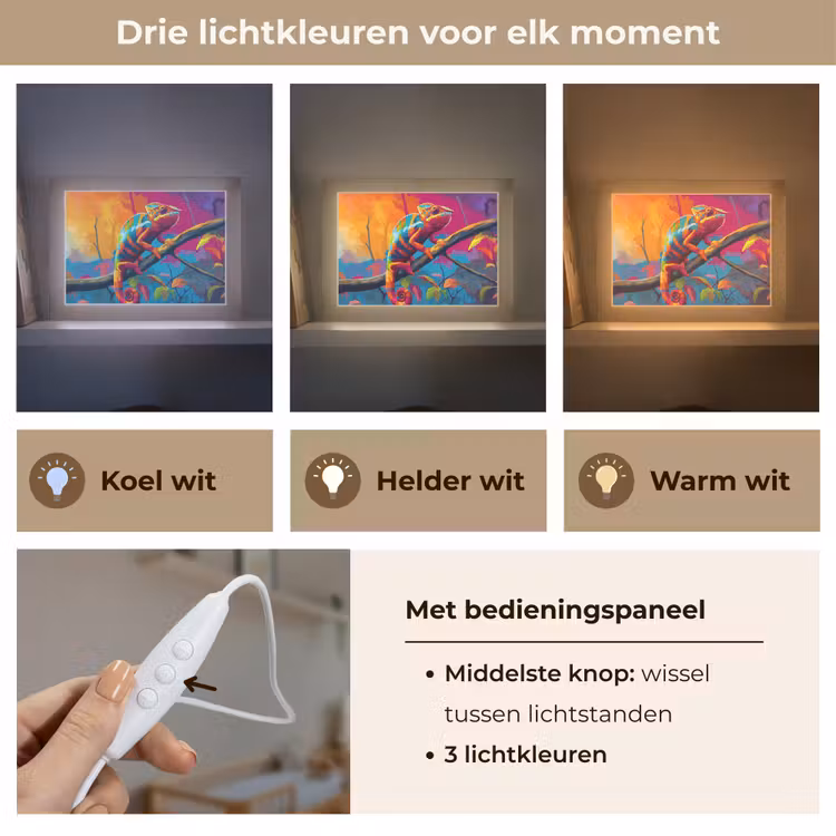 Lightbox - Wandlamp - Kameleon - Tak - Gestreept - Bladeren — 7