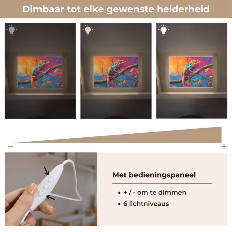 Lightbox - Wandlamp - Kameleon - Tak - Gestreept - Bladeren — 8