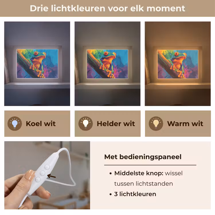 Lightbox - Wandlamp - Kikker - Felgekleurd - Tak - Regenboog — 7