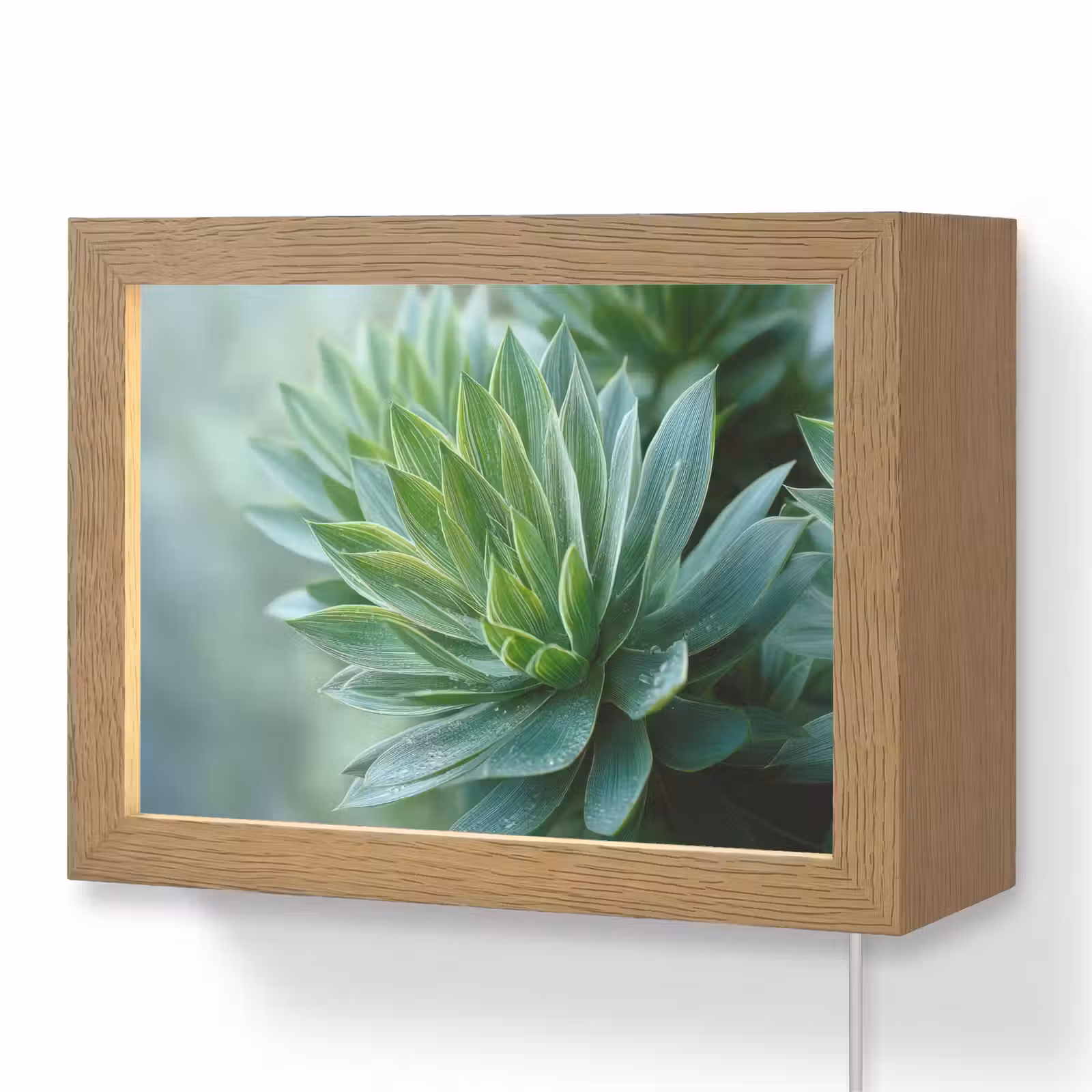 Lightbox - Wandlamp - Blad - Plant - Groen - Textuur — 1