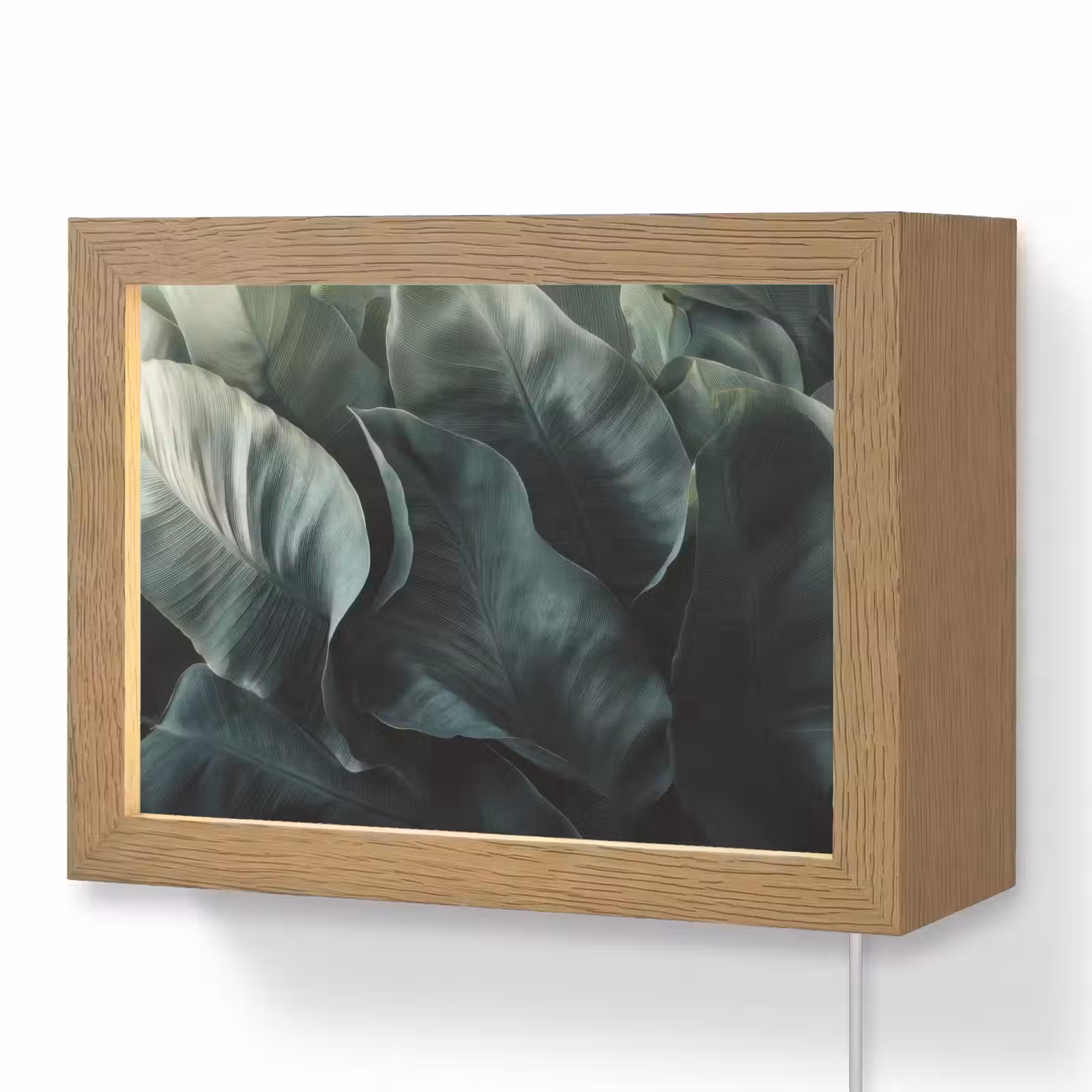 Lightbox - Wandlamp - Groen - Bladeren - Glad - Nerven — 1