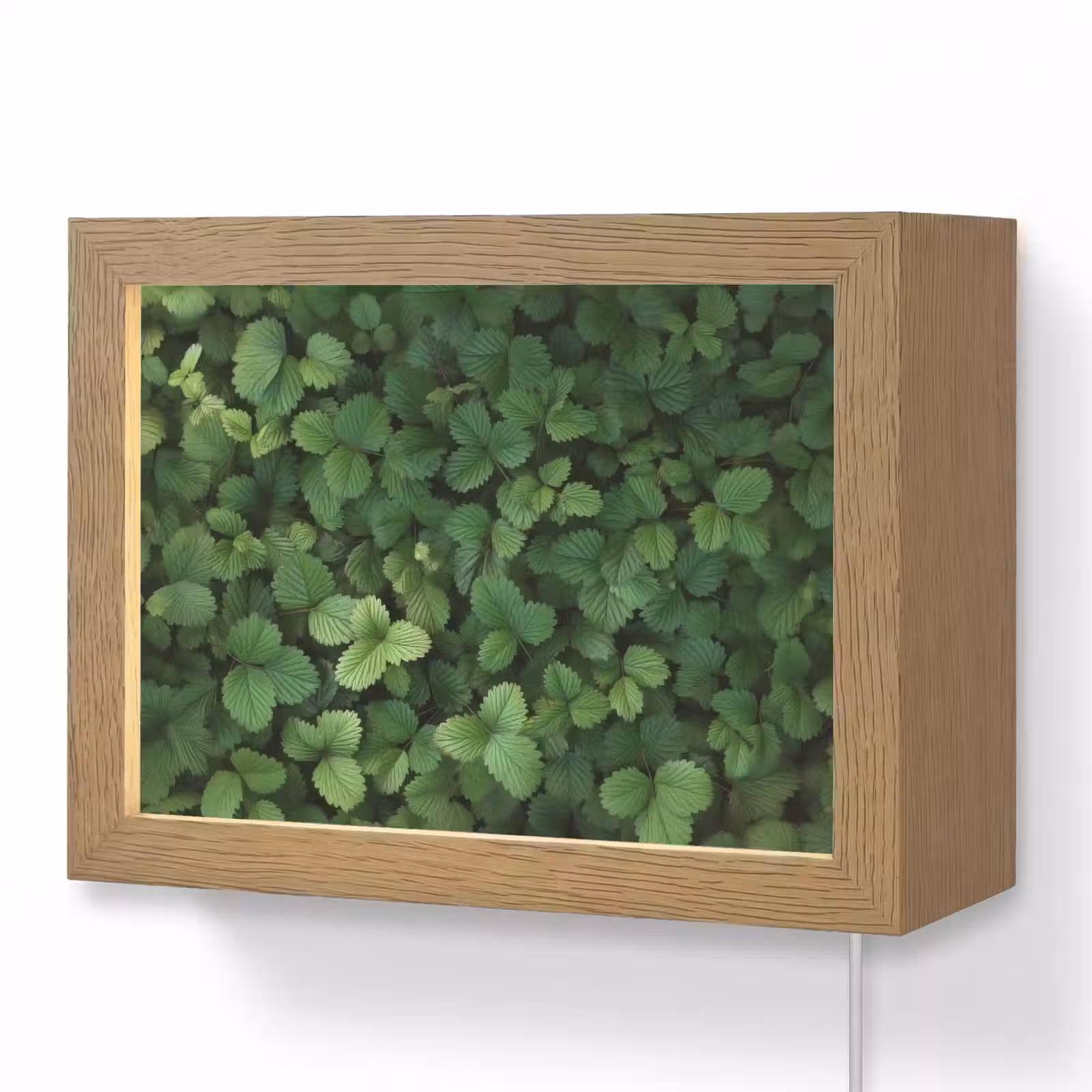 Lightbox - Wandlamp - Groen - Bladeren - Kartel - Zonlicht — 1