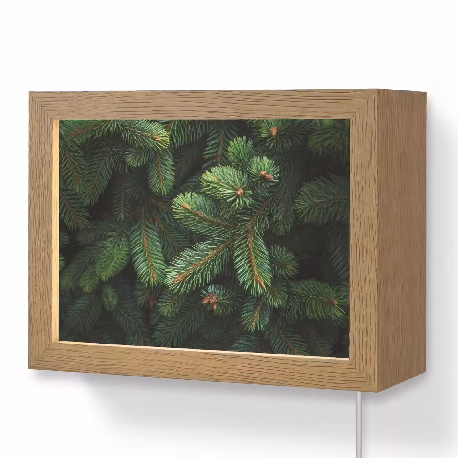 Lightbox - Wandlamp - Sparrentakken - Knoppen - Naalden - Groen — 1