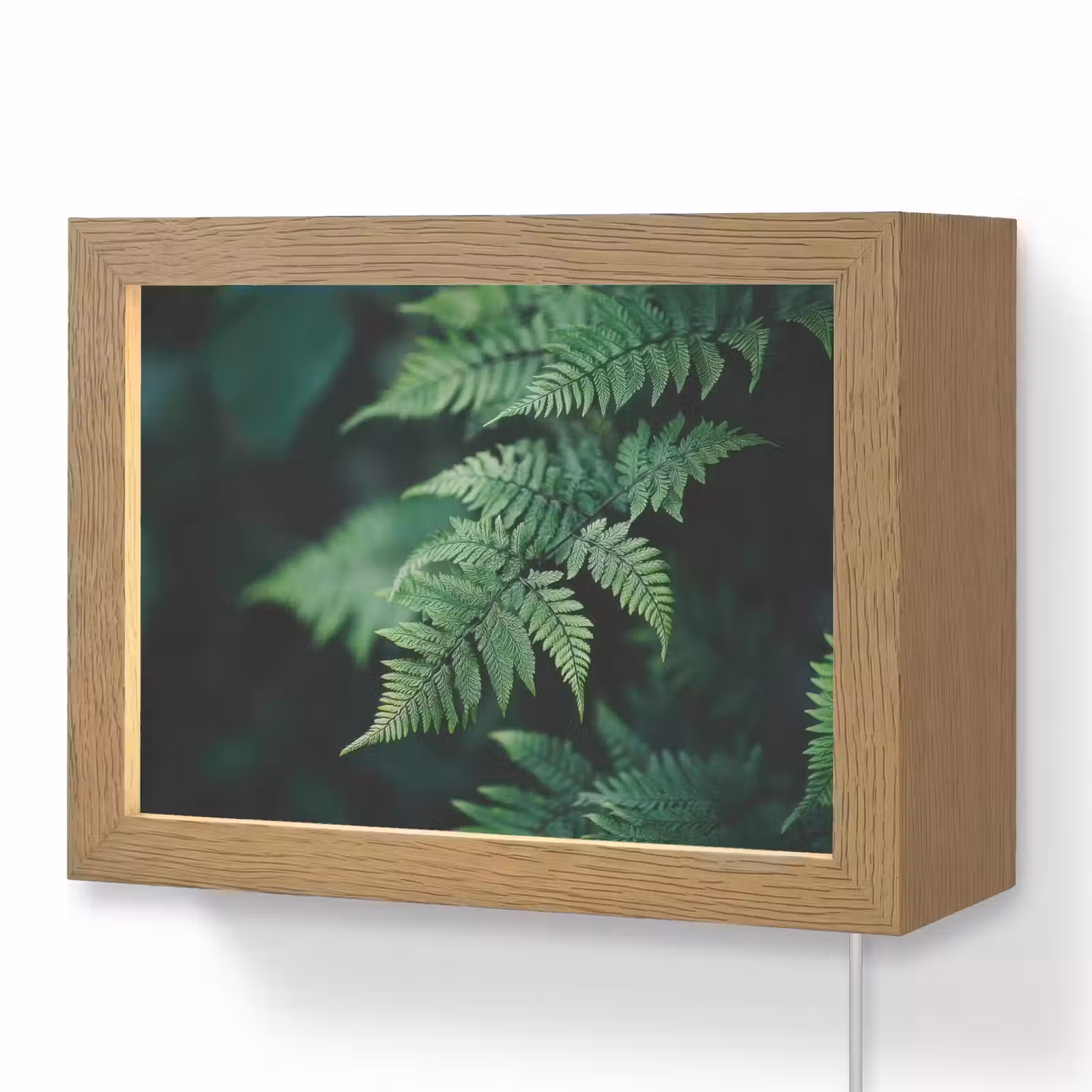 Lightbox - Wandlamp - Varenblad - Groen - Structuur - Wazig — 1
