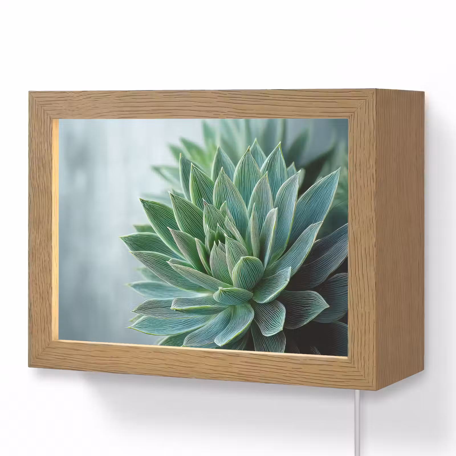 Lightbox - Wandlamp - Vetplant - Bladeren - Groen - Wazig — 1