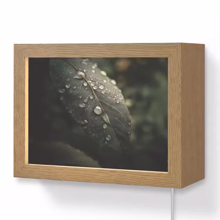 Lightbox - Wandlamp - Blad - Groen - Nerven - Regendruppels — 1