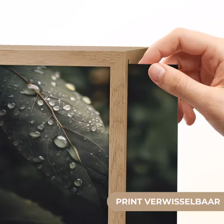 Lightbox - Wandlamp - Blad - Groen - Nerven - Regendruppels — 6