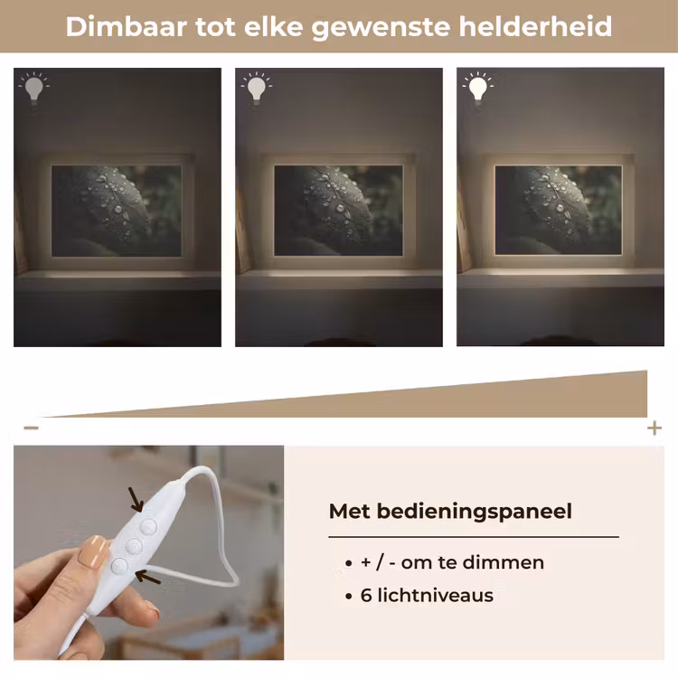 Lightbox - Wandlamp - Blad - Groen - Nerven - Regendruppels — 8