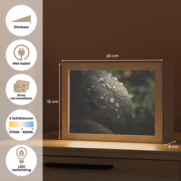 Lightbox - Wandlamp - Blad - Groen - Nerven - Regendruppels — 9