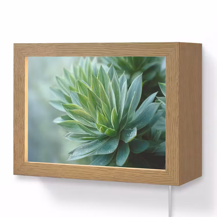 Lightbox - Wandlamp - Blad - Plant - Groen - Textuur — 1