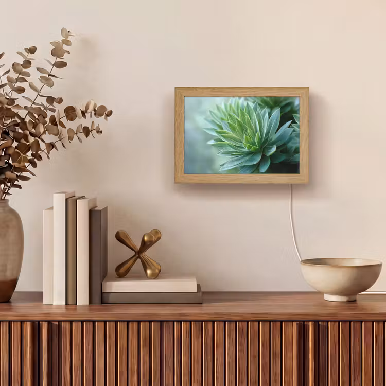 Lightbox - Wandlamp - Blad - Plant - Groen - Textuur — 4