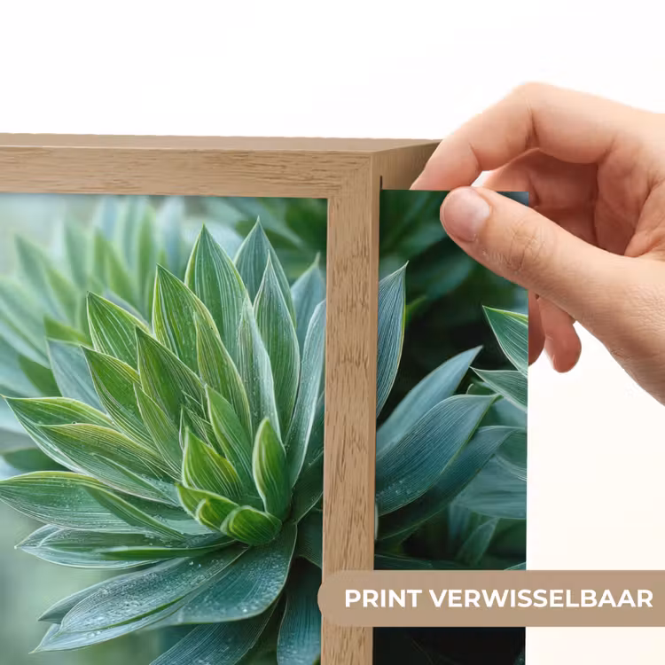 Lightbox - Wandlamp - Blad - Plant - Groen - Textuur — 6