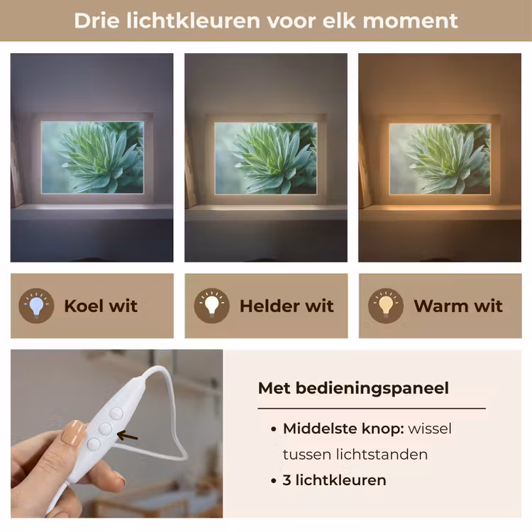 Lightbox - Wandlamp - Blad - Plant - Groen - Textuur — 7