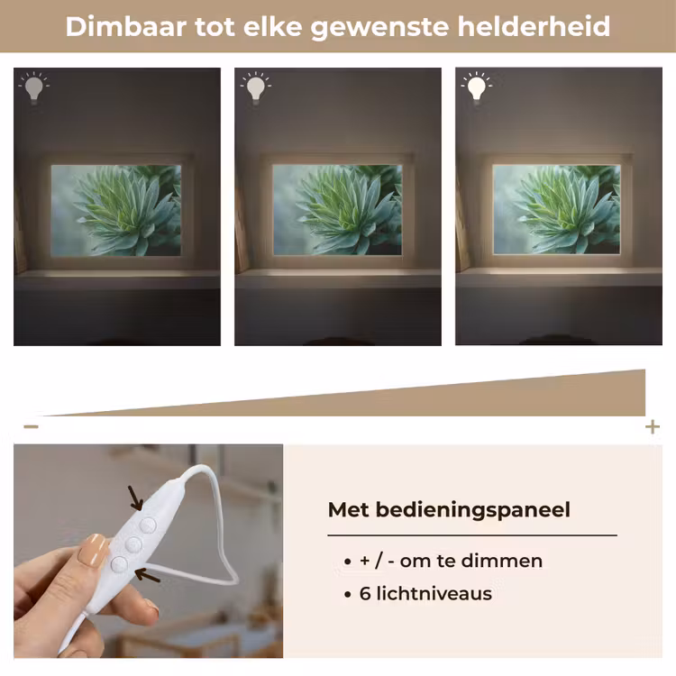 Lightbox - Wandlamp - Blad - Plant - Groen - Textuur — 8