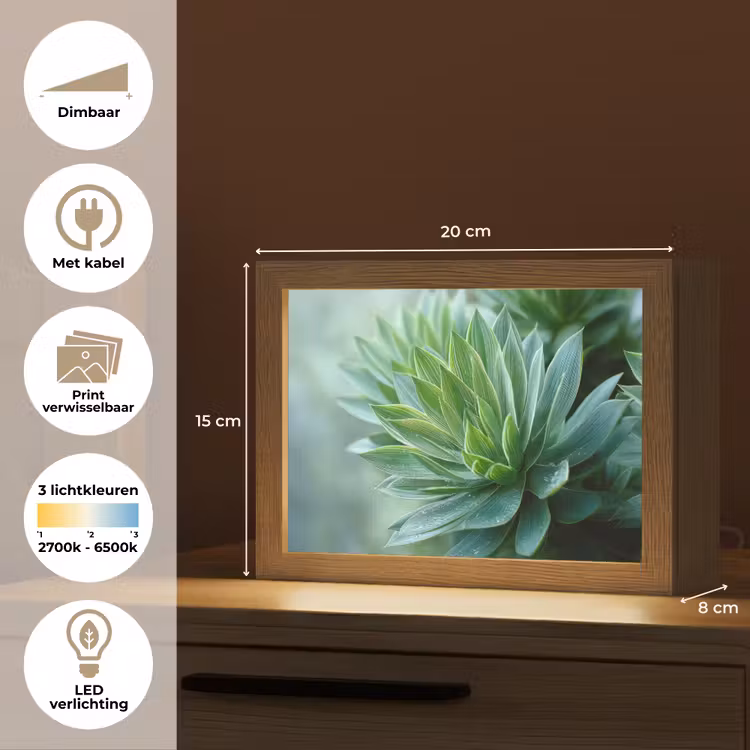Lightbox - Wandlamp - Blad - Plant - Groen - Textuur — 9